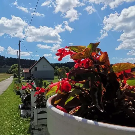 Ferienwohnung Kuca Za Odmor Roby Saborsko Exterior foto