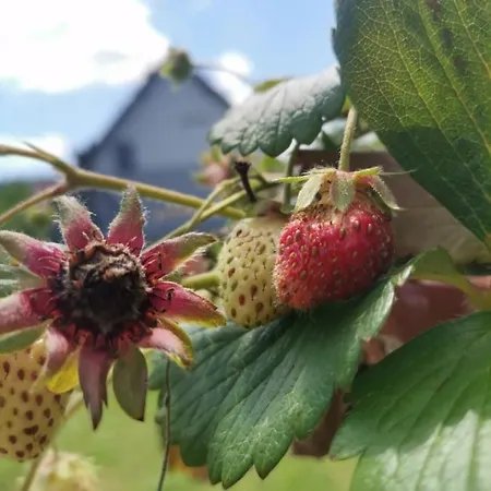 Ferienwohnung Kuca Za Odmor Roby Saborsko Exterior foto